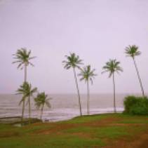 Goa Tourist Places Picture 24